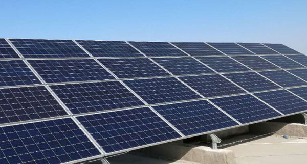 �~(y��)��̫�(y��ng)�ܰl(f��)�վ