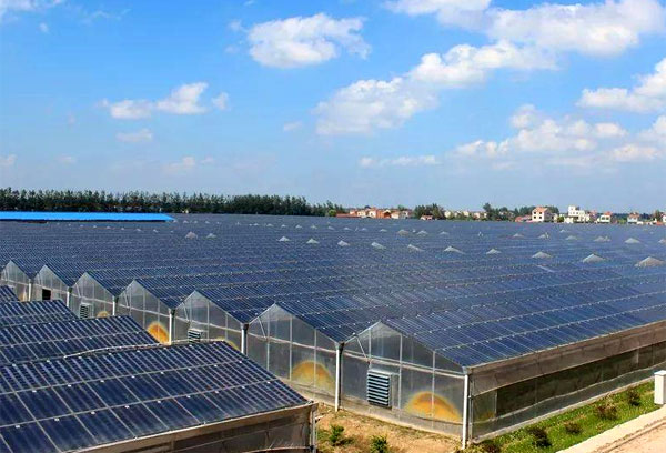 �x�W(w��ng)����l(f��)�ϵ�y(t��ng)