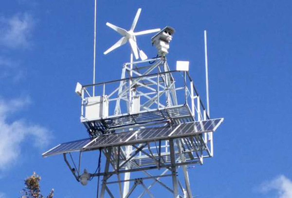 ��̫ͥ�(y��ng)�ܹ��ϵ�y(t��ng)�r(ji��)��